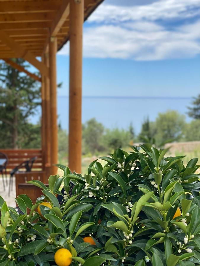 Summer Wine Boutique Hotel Dhërmi Eksteriør billede