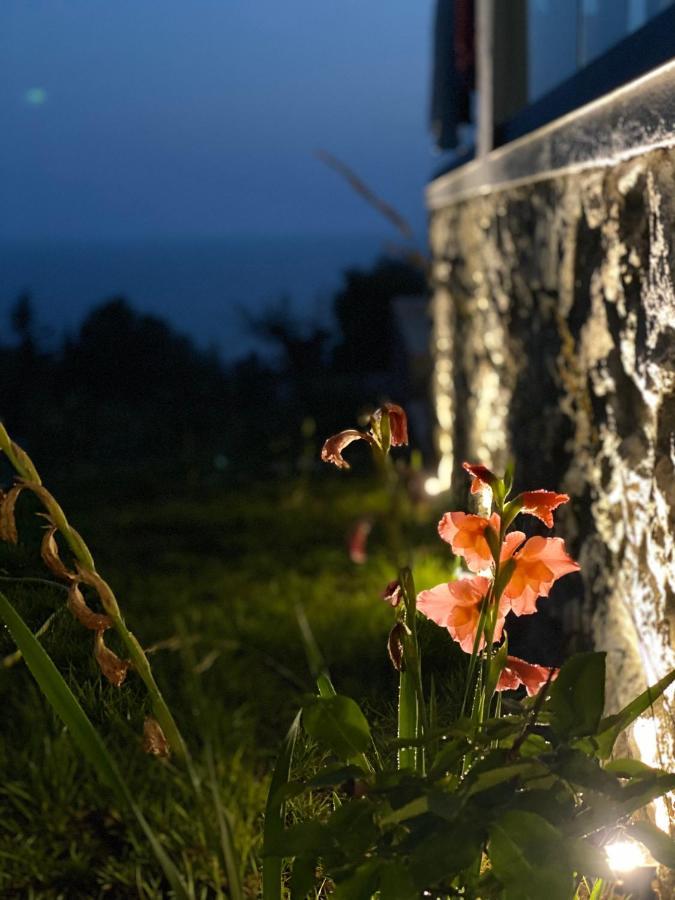 Summer Wine Boutique Hotel Dhërmi Eksteriør billede